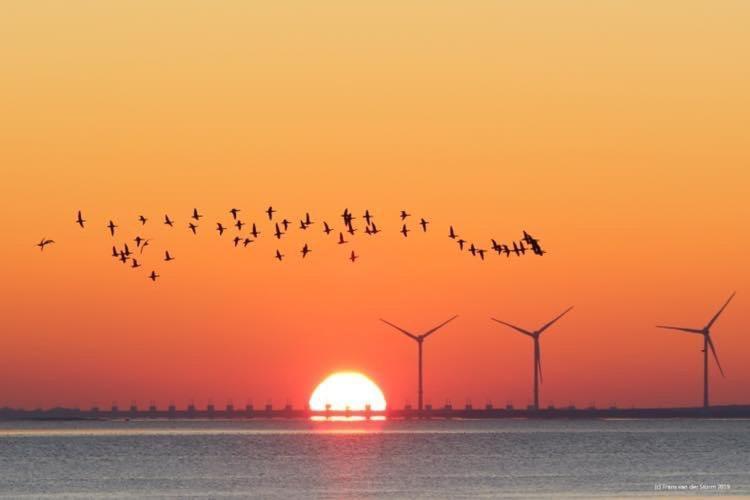 Heerenkeet 4 Pers Appartement Aan De Oosterschelde Kerkwerve 外观 照片